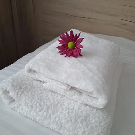 Hotel Enza *